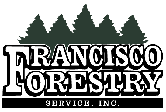Francisco Forestry Service